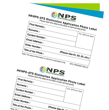 Card Front